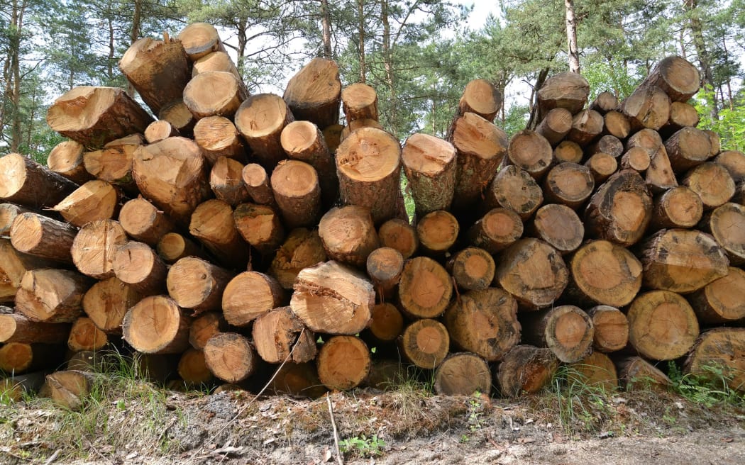 logging pine generic