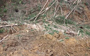 Slash and spoil damming a tributary of the Waitaheke Stream.