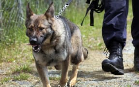 Police dog training