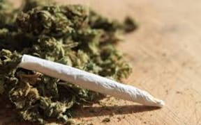 joint