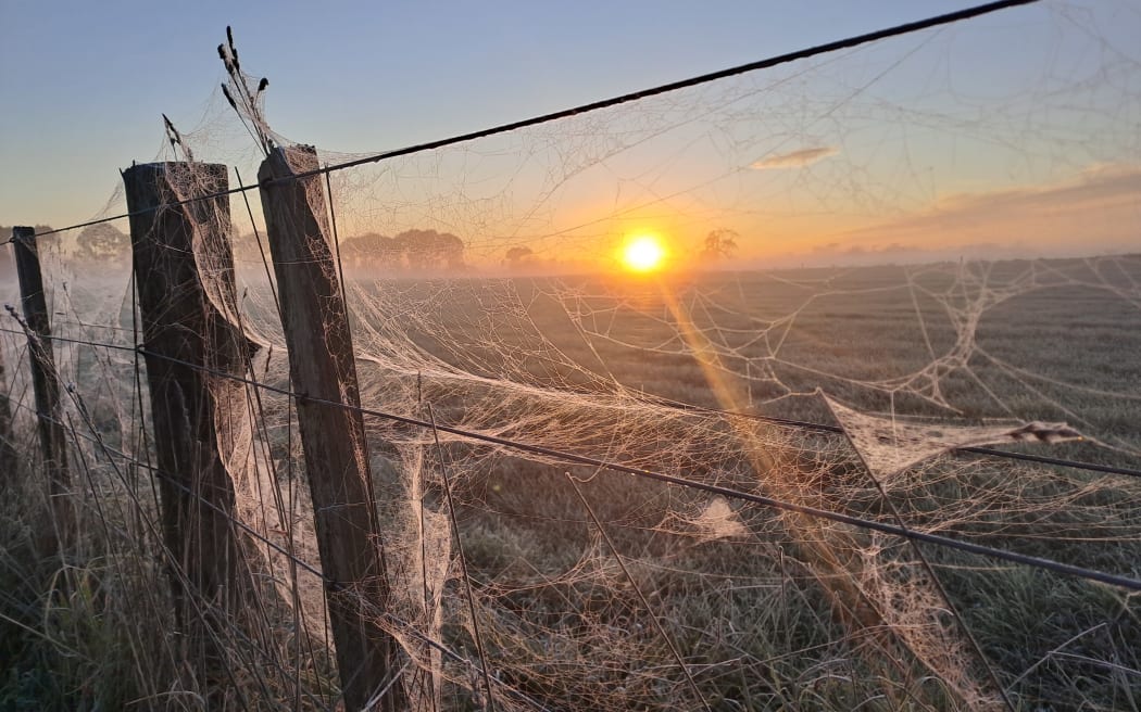 Waikato winter morning