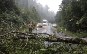 A tree blocks SH6 south of Hari Hari, and around 15 people moved the tree from the road.