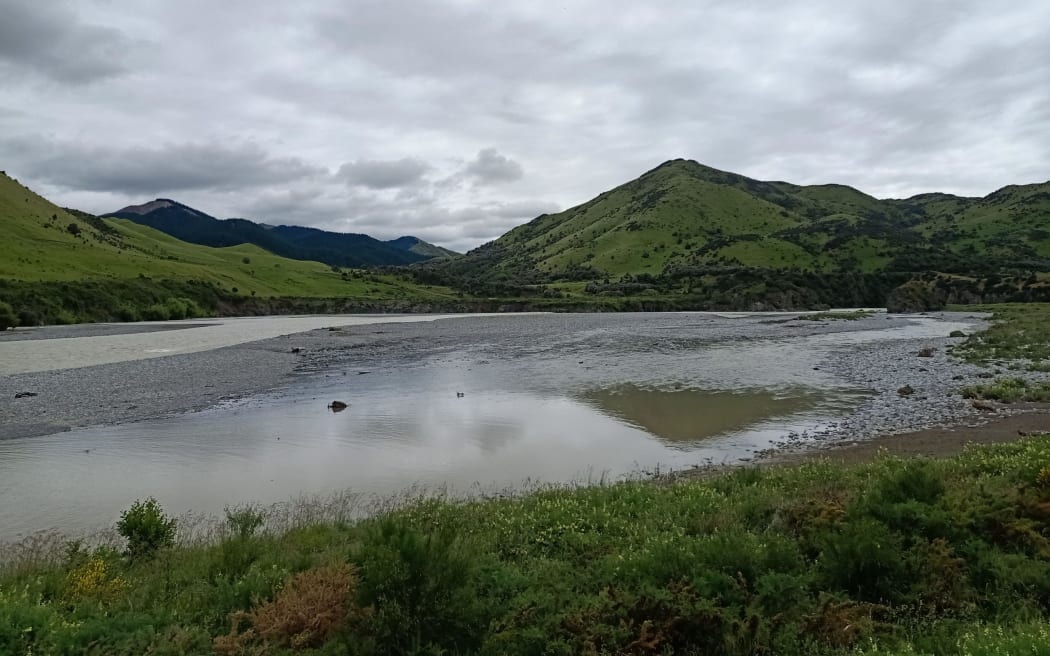 Sharkstooth Island on the Waiau Uwha River