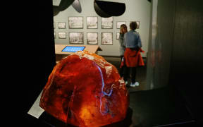 A stunning piece of kauri gum is a token of remembrance for visitors to Te Rau Aroha museum at Waitangi.
