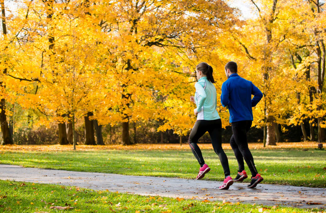 Young couple jogging together in park - rear view