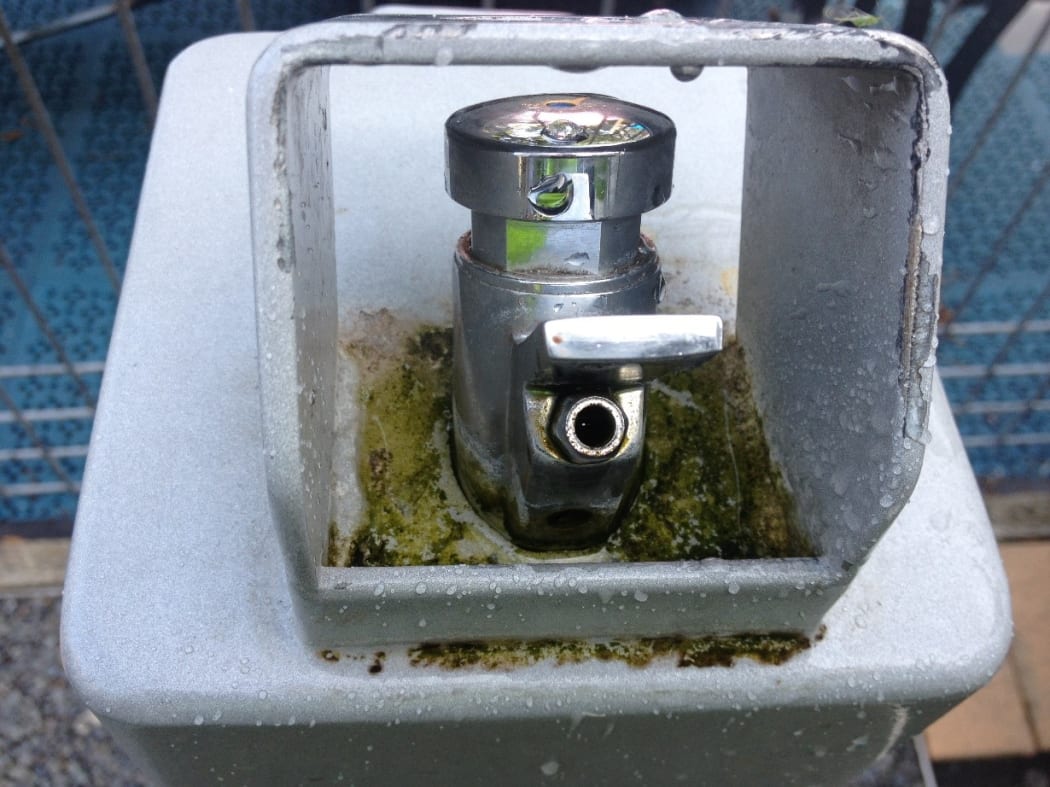 Dirty water fountain in Wellington