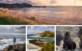 Funds are being raised for conservation efforts at Ngā Manu Nature Reserve in Kapiti