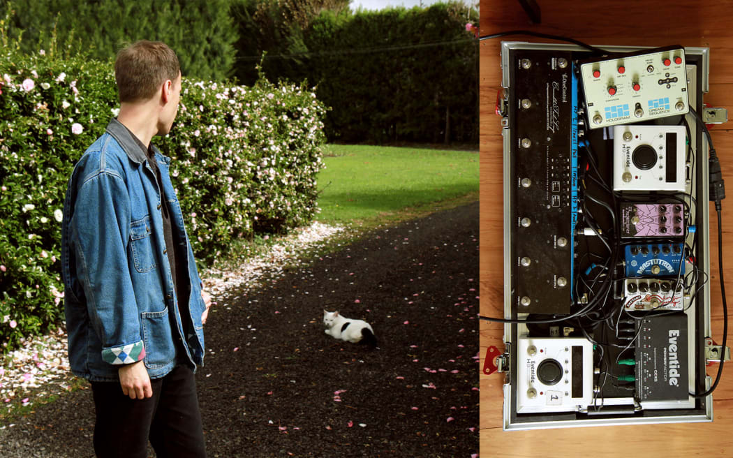 Timon and Albie the cat / Guitar pedals