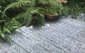 Hail on the ground in Thorndon, Wellington