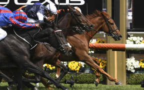 Jockey Craig Williams onboard Vow and Declare wins the Melbourne Cup horse race.