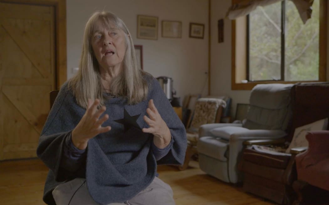 Catherine Delahunty, former Green MP.