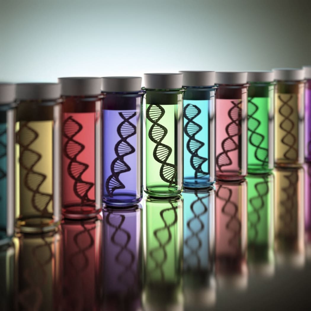Coloured test tubes containing a DNA (deoxyribonucleic acid) double helix, computer illustration. (Photo by KTSDESIGN/SCIENCE PHOTO LIBRARY / KTS / Science Photo Library via AFP)