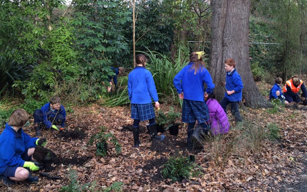 School children planting native seedlings in Ernle Clark Reserve.