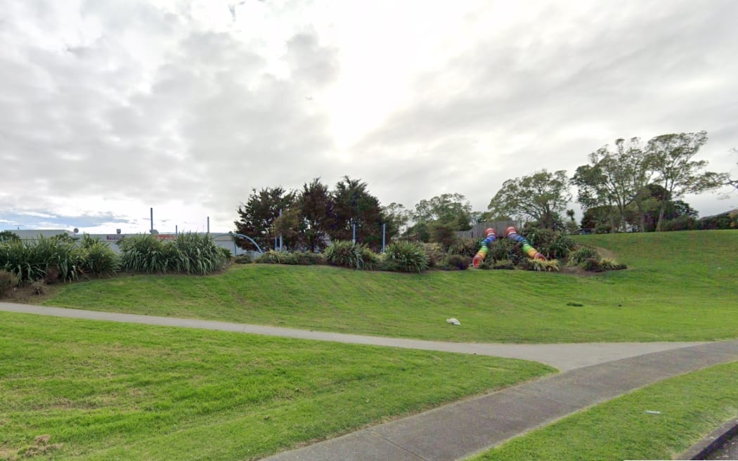Aronia Park in South Auckland.