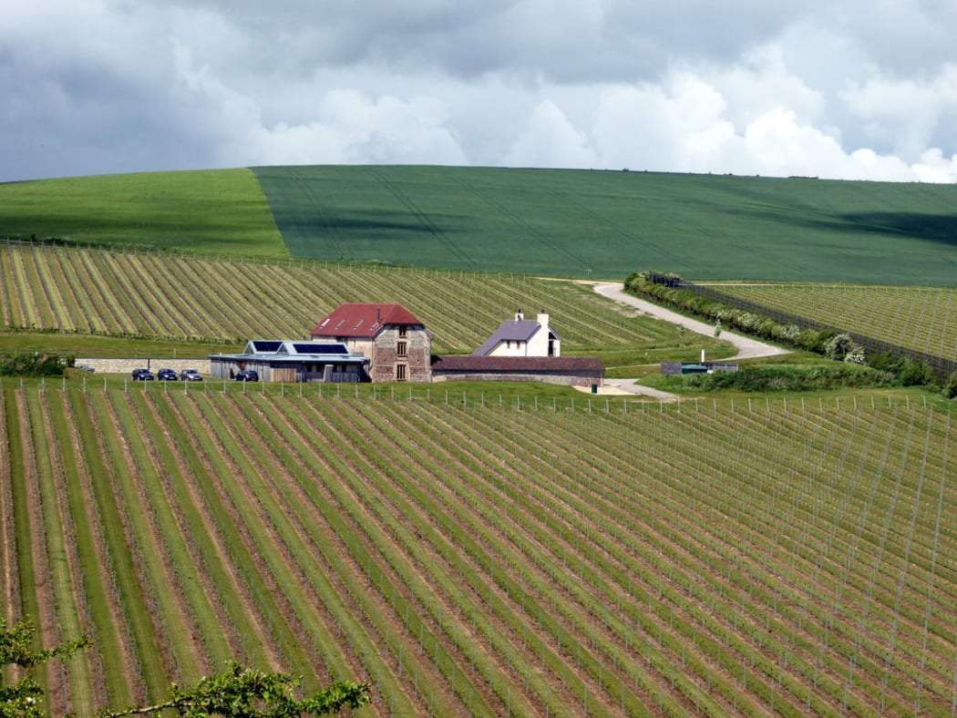 Rathfinny Wine Estate