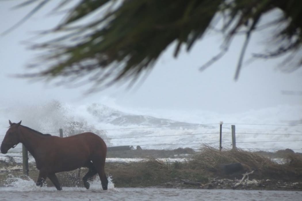 Waves crash down in Westport.