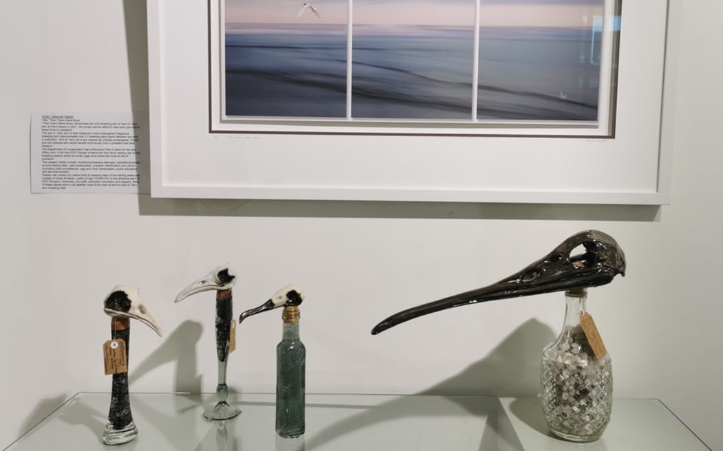 Predator Free 2050 exhibition