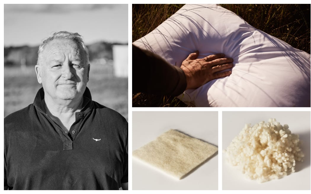 Henry Hansen, Wisewool