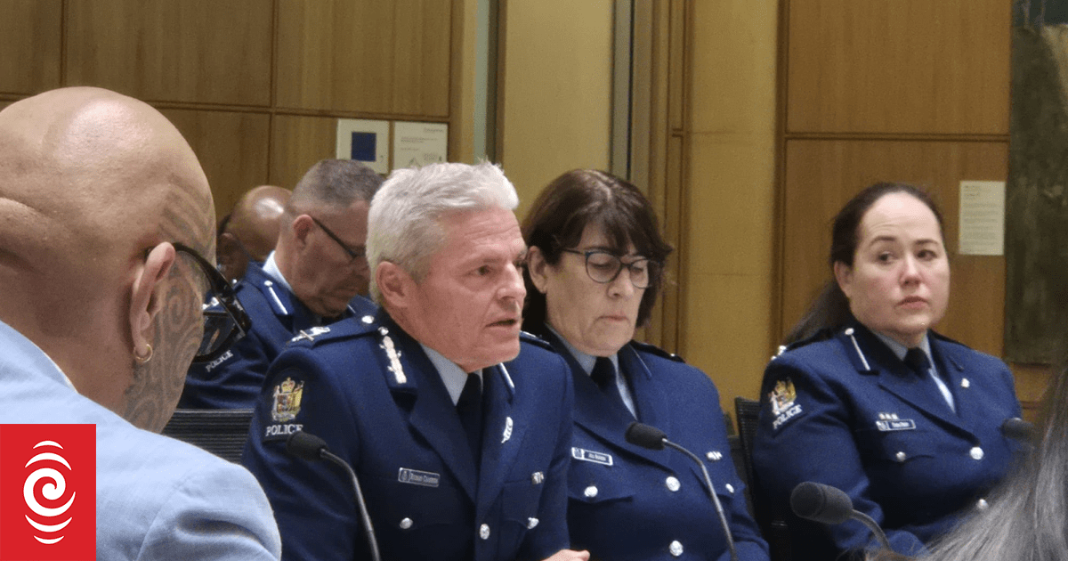 Scrutiny Week: Top cops field questions in Parliament