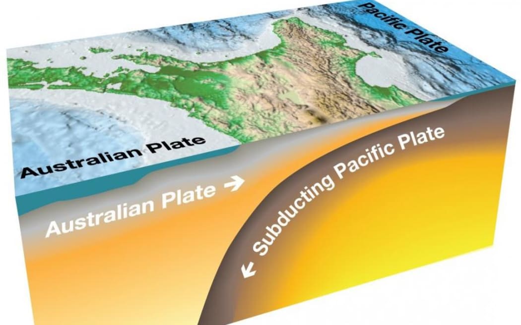 Hikurangi subduction zone.