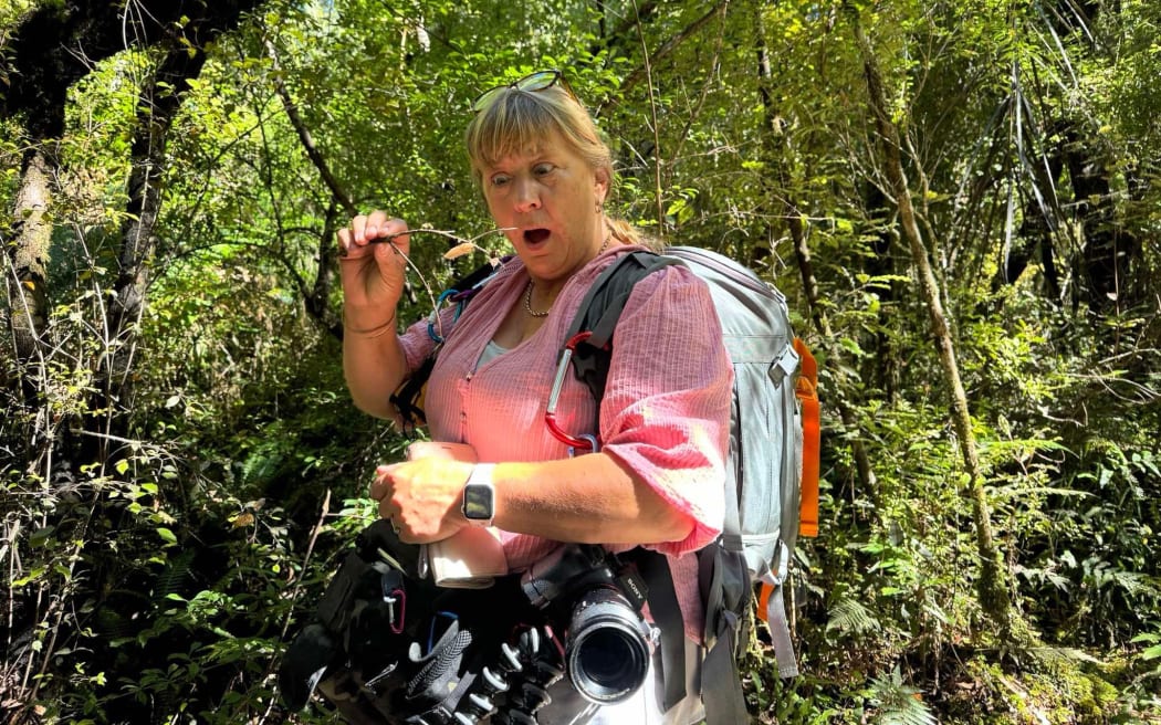 This is a photo of Paula Vigus in a forest. Her cameras are dangling around her waist. She is holding a twig with a fungi on it and looking at it in surprise.