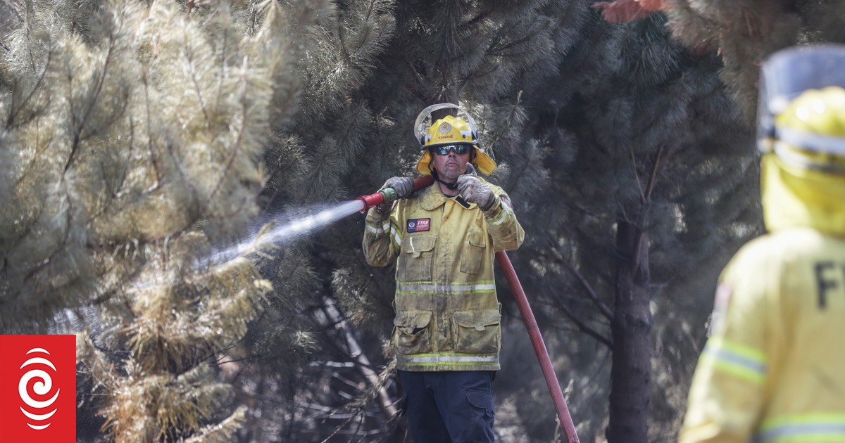 Watch: Port Hills state of emergency lifted, investigation into cause of fire ongoing - Vimarsana News
