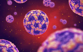 Illustration of norovirus, a common cause of viral gastroenteritis.