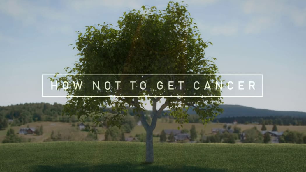 How Not To Get Cancer