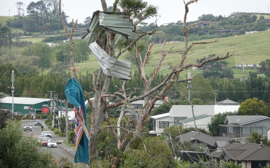 Corrugated iron and duvets in a tree following a storm in Mangawhai, 26 January 2025.