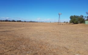 A paddock near Tamworth, NSW