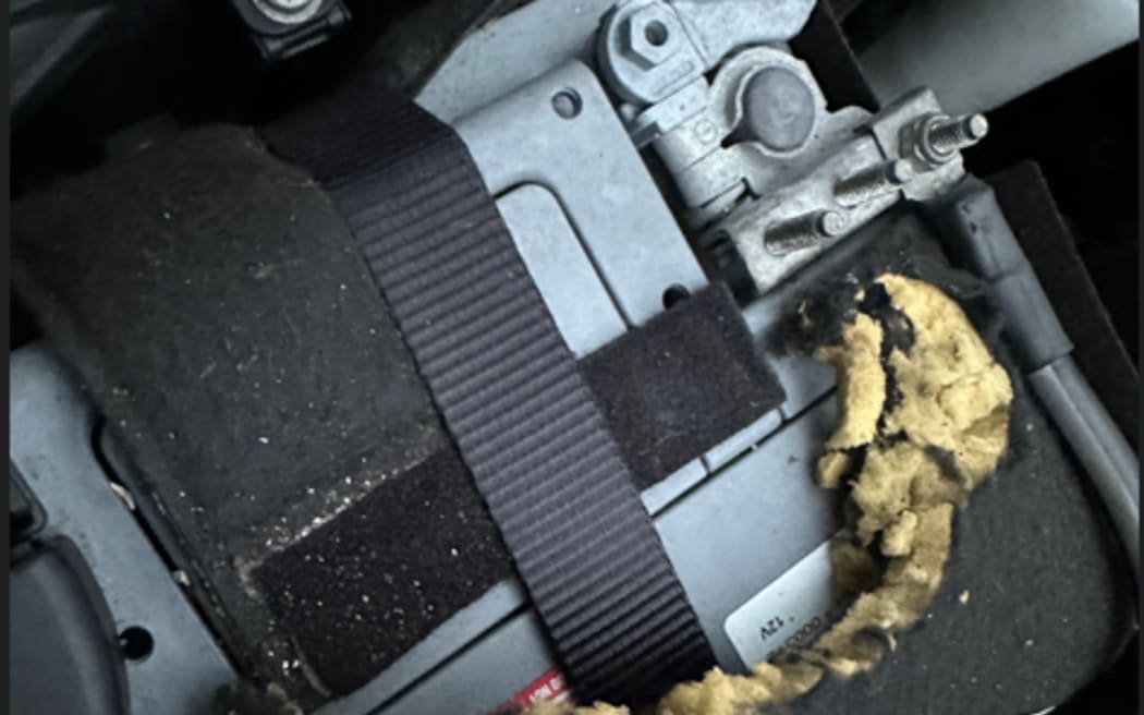 A photo from a Wellington car owner showing damage done by rats under the bonnet.