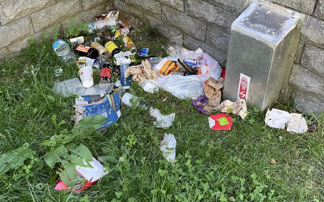 Rubbish dumped on Park Street. 