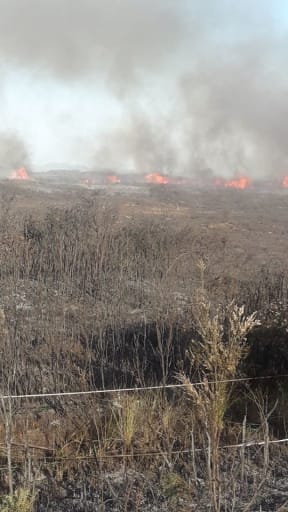 A scrub fire on Karikari peninsula in Northland is burning out of control.