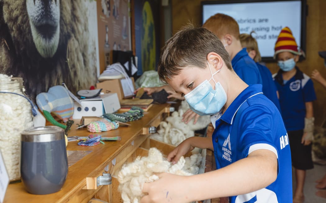 Havelock North Primary School students learn about the benefits of wool at these container-turned-sheds run by Campaign for Wool NZ.