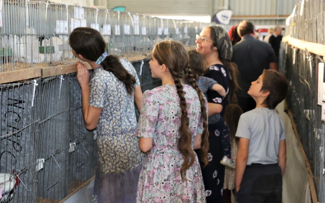 The National Poultry and Pigeon Show