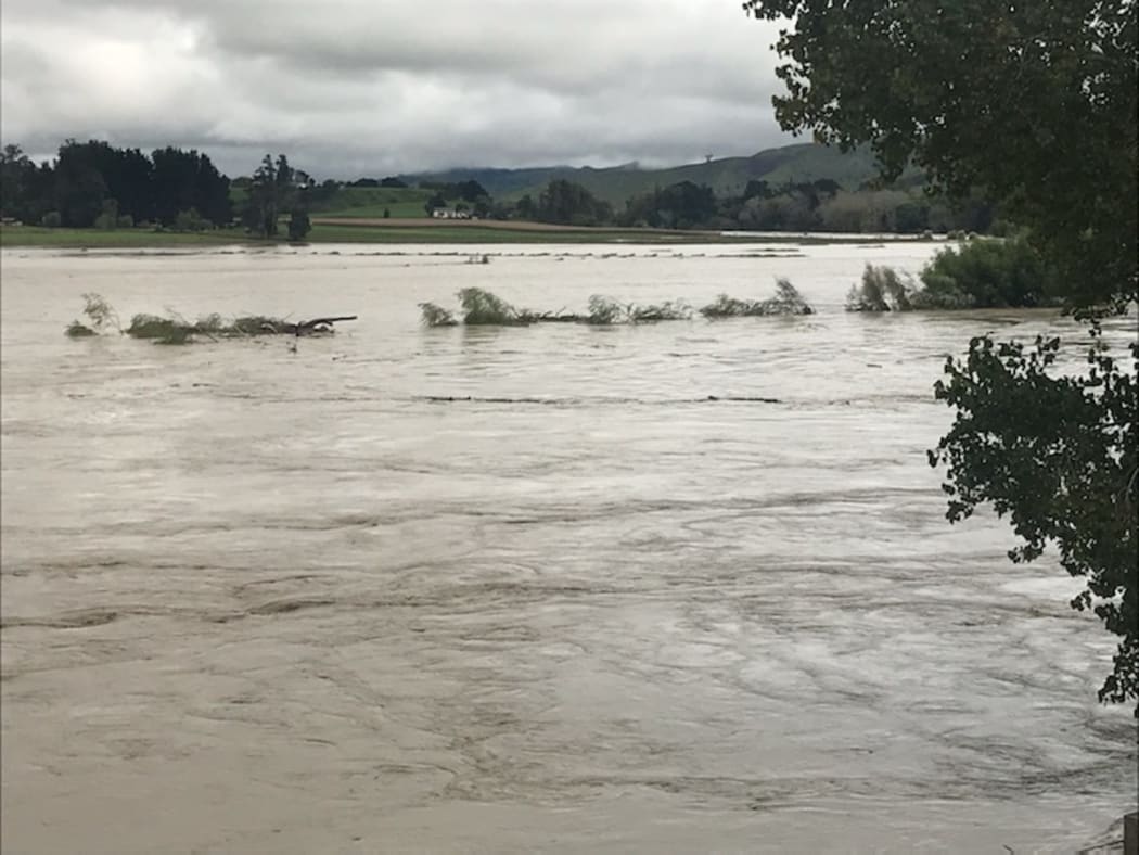 Paddocks of maize inundated by the Wairoa River