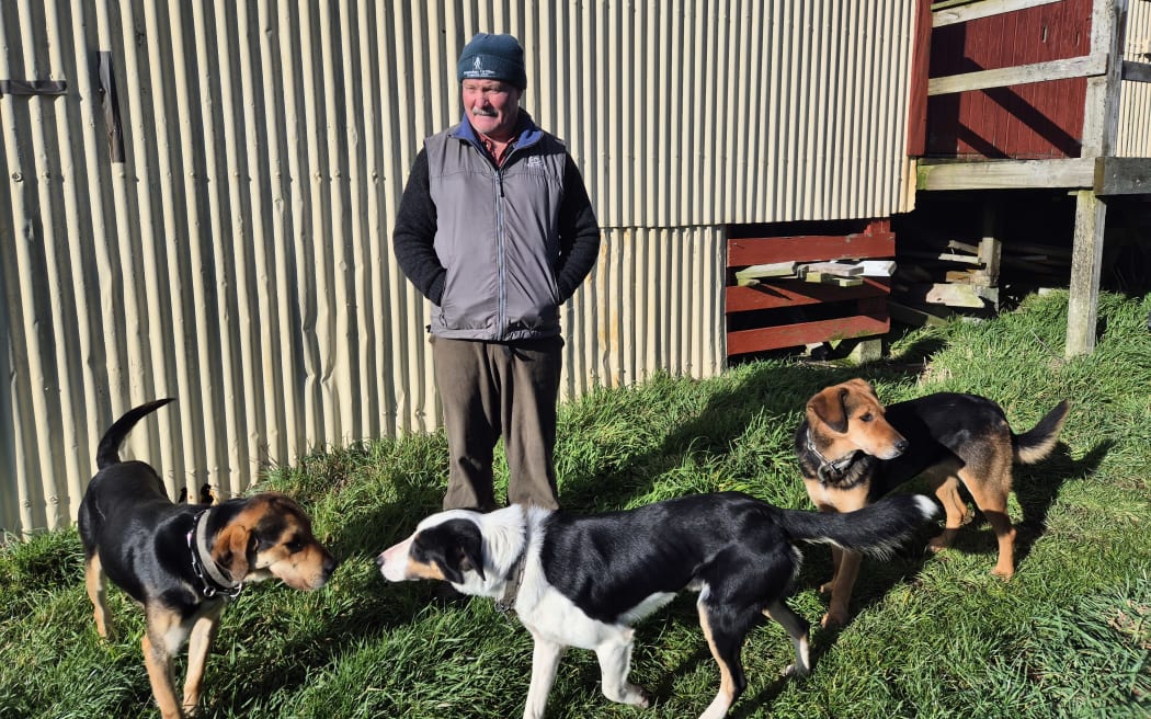 Guy Parkinson with his team of work dogs who have also been put through the kiwi avoidance training.