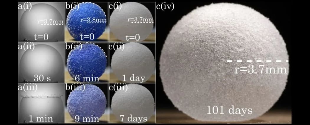 Soap bubbles; water-based gas marbles; and water-glycerol gas marbles.