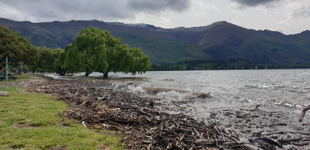 Debris on the Lake Wanaka waterfront.