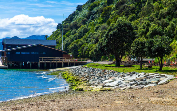 Residents are furious after the Marlborough District Council changed the road on Shelly Beach (behind the Queen Charlotte Yacht Club towards Bob's Bay) from a two-lane with parking to a one-land with no parking.