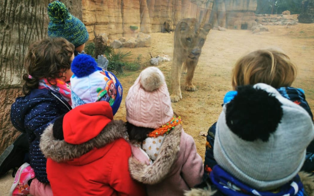 Children watch from behind glass a lion at Barcelona Zoo