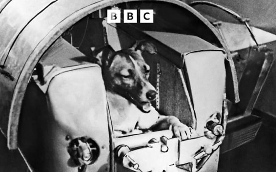 Russian space dog Laika