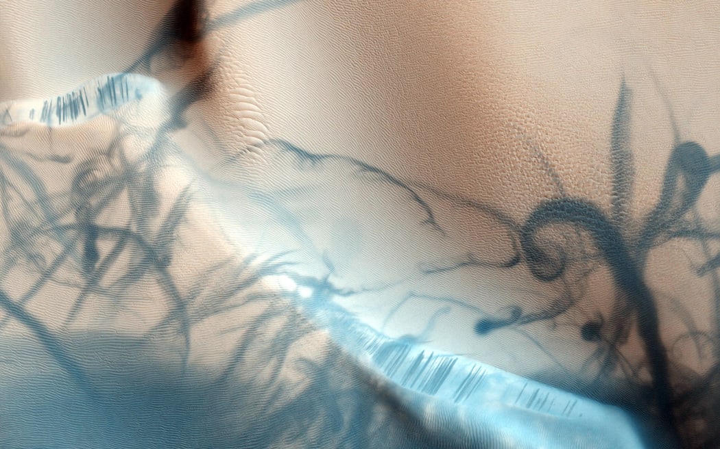 This NASA handout image obtained October 27, 2009 shows a high-resolution picture from the HiRISE camera on board the Mars Reconnaissance Orbiter revealing twisting dark trails criss-crossing light-colored terrain on the Martian surface. Newly formed trails like these had presented researchers with a tantalizing mystery but are now known to be the work of miniature wind vortices known to occur on the red planet, in other words Martian dust devils. Such spinning columns of rising air heated by the warm surface are also common in dry and desert areas on planet Earth. Typically lasting only a few minutes, dust devils become visible as they pick up loose red-colored dust leaving the darker and heavier sand beneath intact. Ironically, dust devils have been credited with unexpectedly cleaning the solar panels of the Mars rovers. AFP PHOTO/NASA/HiRISE/MRO/LPL/UNIVERSITY OF...