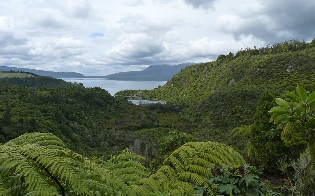 Lake Tarawera