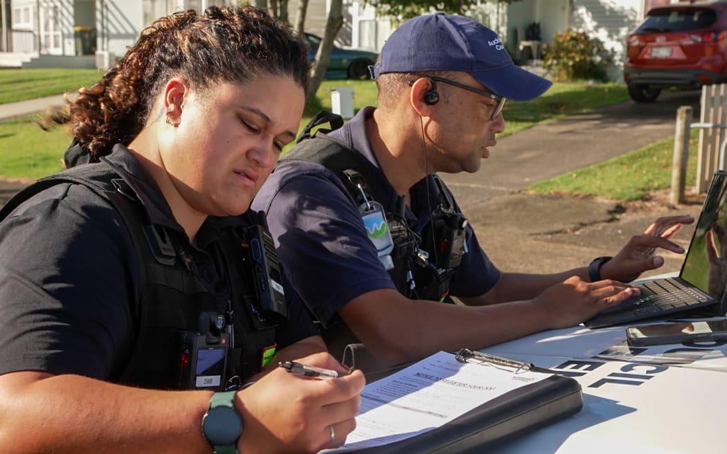Roaming Dogs in South Auckland