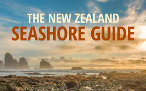 Seashore Guide