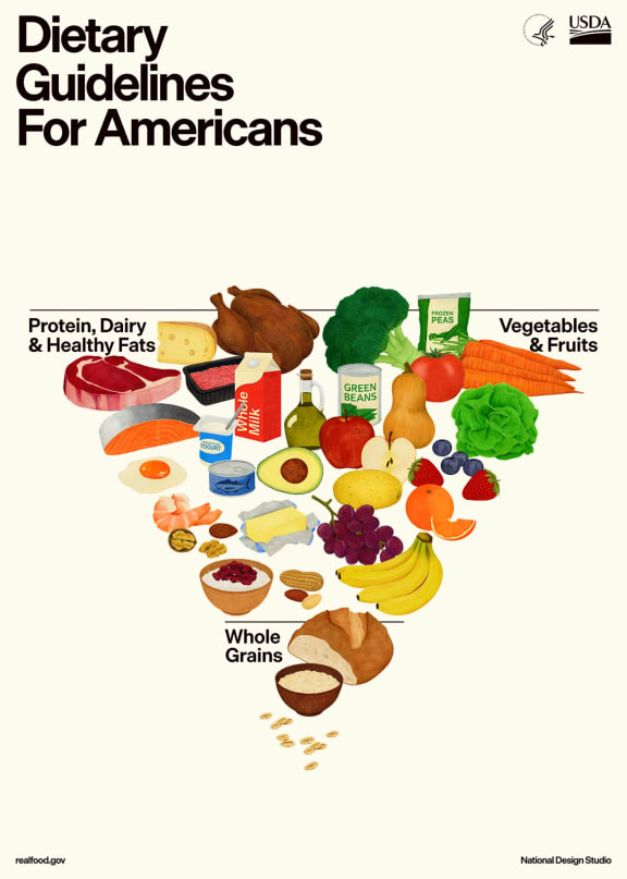 New US Food Pyramid