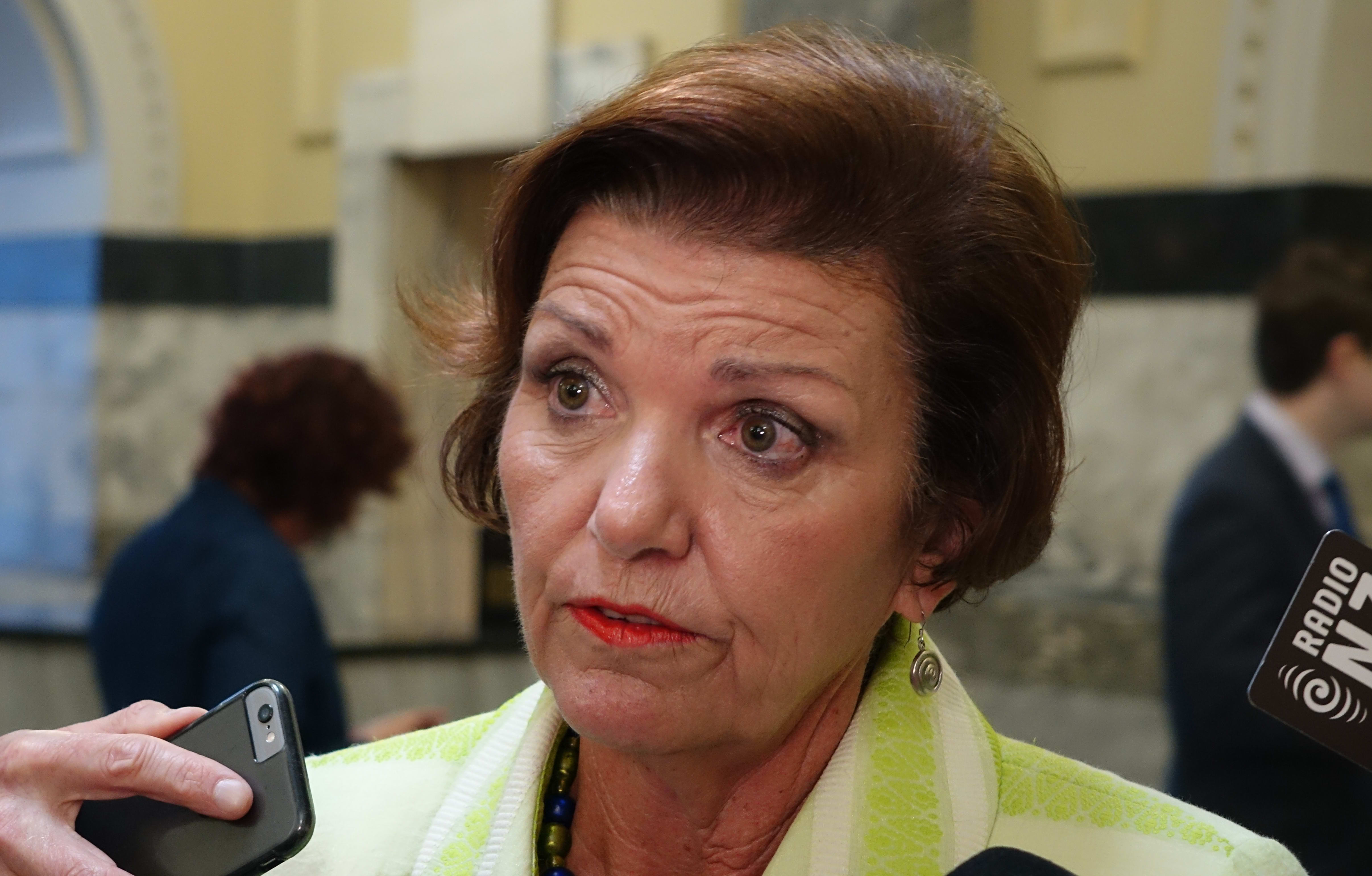 Social Development Minister Anne Tolley.