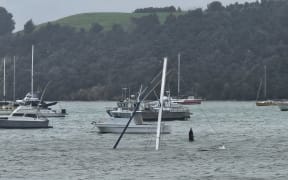 Cyclone Tam claimed this yacht that was moored in Northland’s Whangaroa Harbour, on 16 April, 2025.