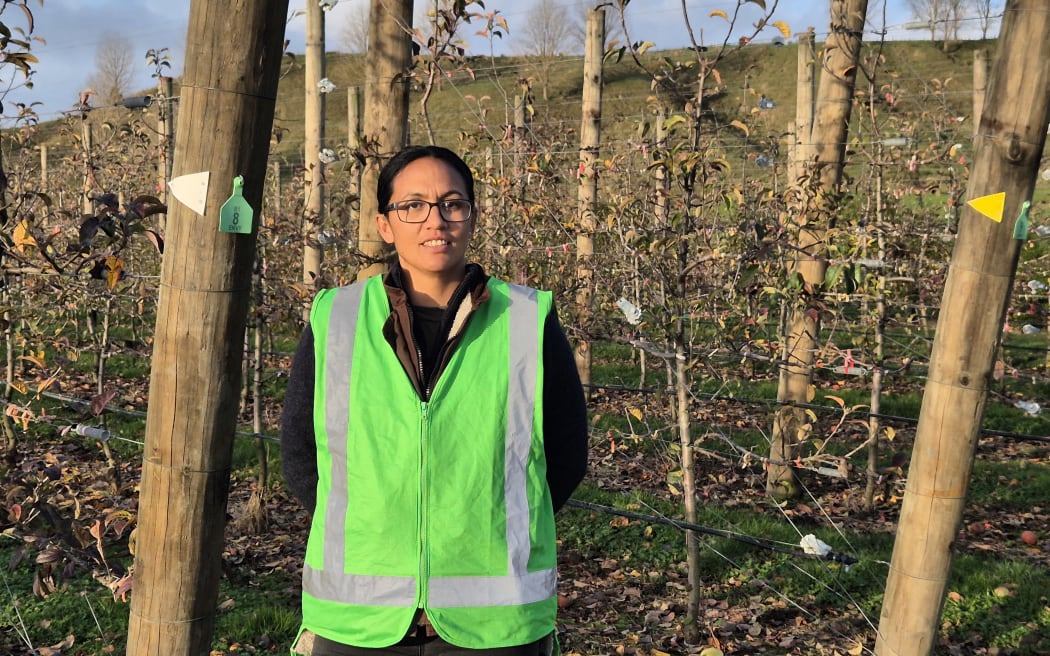 Robin Kaa, general manager of Haumako, the trust's horticulture programme.